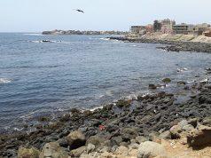 Promotion immobilière : Pourquoi stopper la spéculation à Dakar
