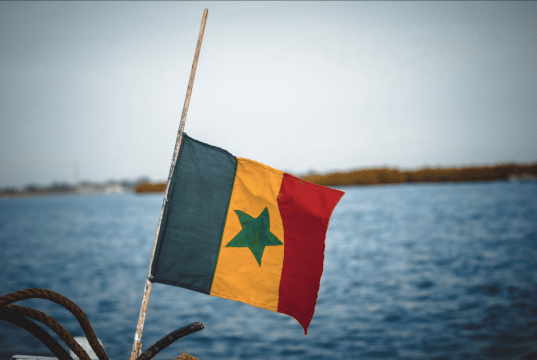 Franco-Sénégalais : Qui sont les personnalités françaises nées au Sénégal ?