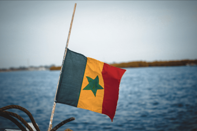 Franco-Sénégalais : Qui sont les personnalités françaises nées au Sénégal ?